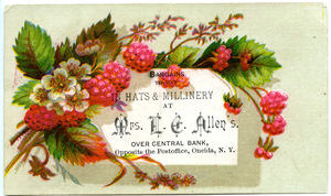 Bargains to-day in hats & millinery at Mrs. L. E. Allen's