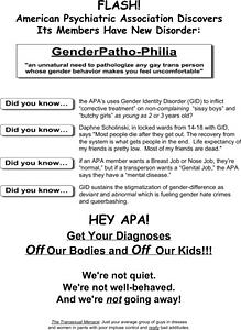 Hey APA! Get Your Diagnoses Off Our Bodies & Off Our Kids! Flyer (2)