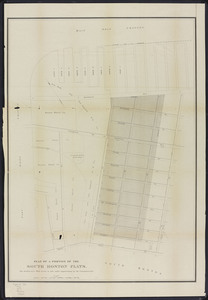 Plan of a portion of the South Boston flats