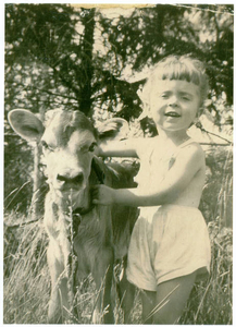 Sally and her cow