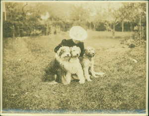 Portrait of Mrs. Margante Deland and her three sheep dogs, location unknown, undated
