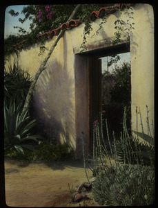 Ramona's marriage place (stucco wall and doorway, xerophytic plants)