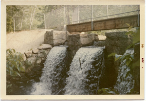 Waterfall at Mann's Pond along the Massapoag Trail