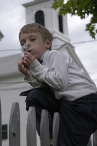 Church supper at the First Congregational Church, Whately: boy blowing on the seed head of a dandelion in front of the church