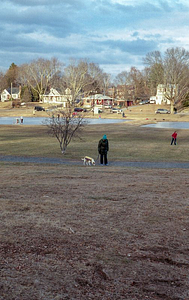 Dog walking in Memorial Park