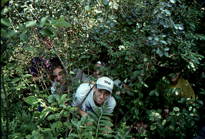 Henry Art Slide Collection