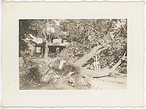 Damage from 1938 Hurricane