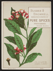 Trade card for Bugbee & Brownell, manufacturers of pure spices, Providence, Rhode Island, undated