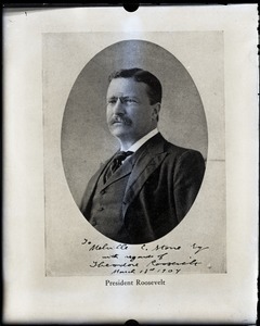 Theodore Roosevelt (copy image)