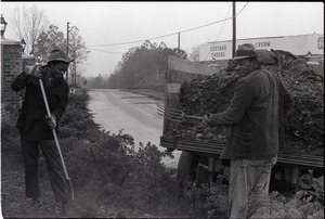 Two African American men with pitchforks, spreading mulch from the back of a truck
