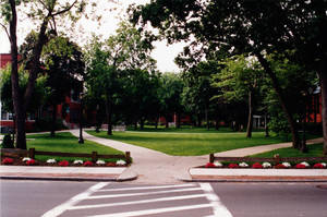 A summer photo of Springfield College, 2000