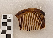 Comb, Ornamental
