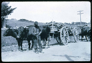 Near Town Farm, Newberry Port Turnpike Rt. 1, dirt road then