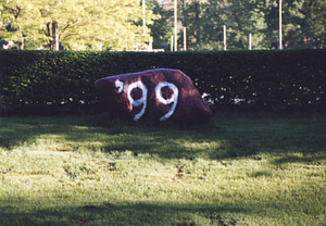 Springfield College Class of 1999 Rock