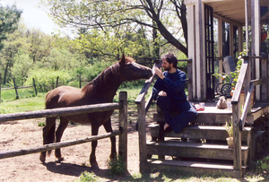 Discovering the inner gaucho in Wayland