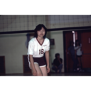 Volleyball player at the net