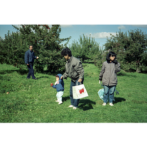 People picking apples on a Chinese Progressive Association trip