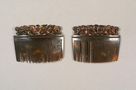 Pair of Side Combs