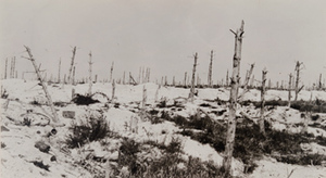 View of damaged trees in a snow covered field, Champagne