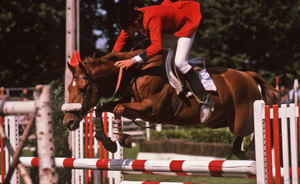 Rider and horse on jumping course