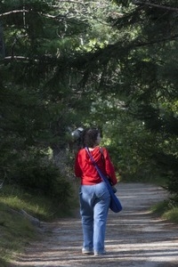Walking down a trail through the woods, Wellfleet Bay Wildlife Sanctuary