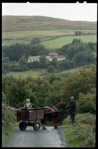 Margaret Heckler, United States Ambassador to Ireland, in a pony cart in the Wicklow Hills