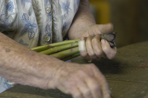 Hibbard Farm: close-up of a woman's hands while bunching asparagus