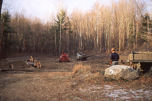 Clearing of old USFS poplar plantation to create old field research site. 1. Yarding cut logs.