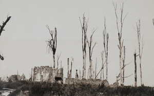 Ground-level view of destroyed stone buildings surrounded by burnt tree stumps
