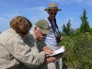 Irwin Schorr (Mass Audubon Society volunteer, center) in the field, Wellfleet Bay Wildlife Sanctuary