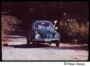 Volkswagen beetle driving down the road, Tree Frog Farm commune
