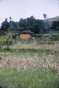Nepalese farmhouse