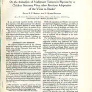 On the Induction of Malignant Tumors in Pigeons by a Chicken Sarcoma Virus after Previous Adaptation of the Virus to Ducks