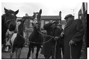 Fair Day in Castlewellan, Co. Down. Two farmers "hit hands" in traditional style to close the deal and the horse is sold