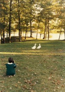 Edgewater ducks and me, Tammy Rose