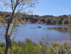 Harvesting invasive plants by raft