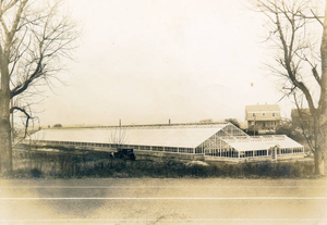 Hingham Floral Garden Co. 1928