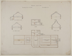 Overall first floor and cellar plans and sections of rose and carnation houses, violet pit, cool greenhouse, vinery, and plant house, unsigned, undated