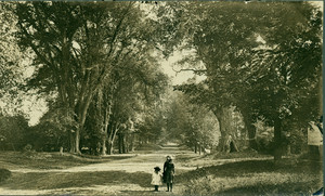Two girls hand-in-hand with backs to camera on Main Street, near the Sheldon House, Deerfield, Mass., ca. 1885