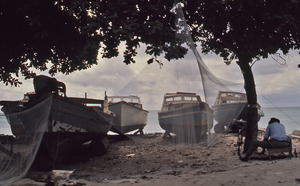 Boats and nets under trees on the beach