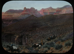 Leaving for Tonto Trail (mule train descending into Grand Canyon)
