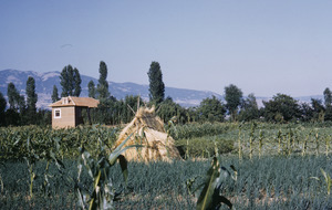 House and fields in Velesta