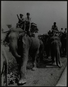 Cambodian army of rebels riding elephants