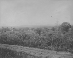 Campus Views, Fields and Gardens