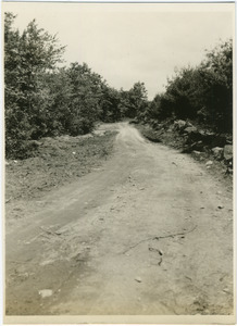 Road into Harold Parker State Forest from by-pass, 2nd stage, Harold Parker State Forest
