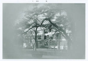 Front of Babson Library, c. 1975