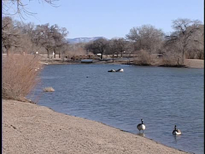 ¡Colores!; Tingley Beach and Fairview Memorial Park