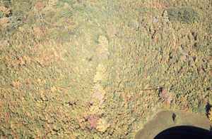 Aerial oblique view of Eastern HMF boundary with Whitman's land on 14 October 1971.