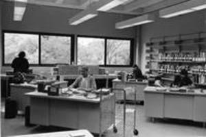 Sawyer Library staff in staff areas