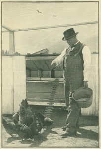 Booker T. Washington feeding chickens